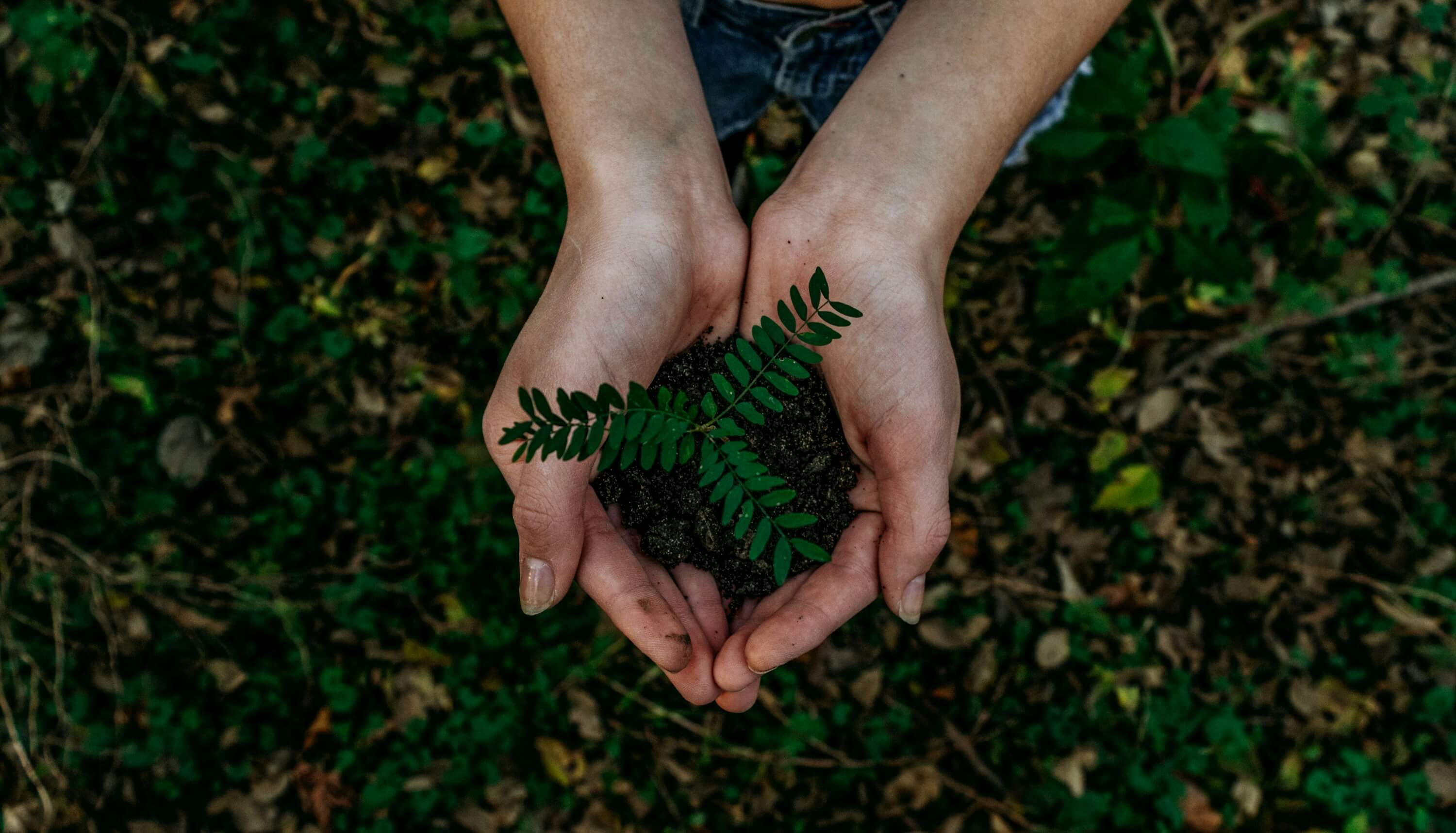 How to Practice Building Positive Relationships in The Workplace